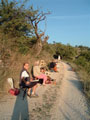 stage été 2006